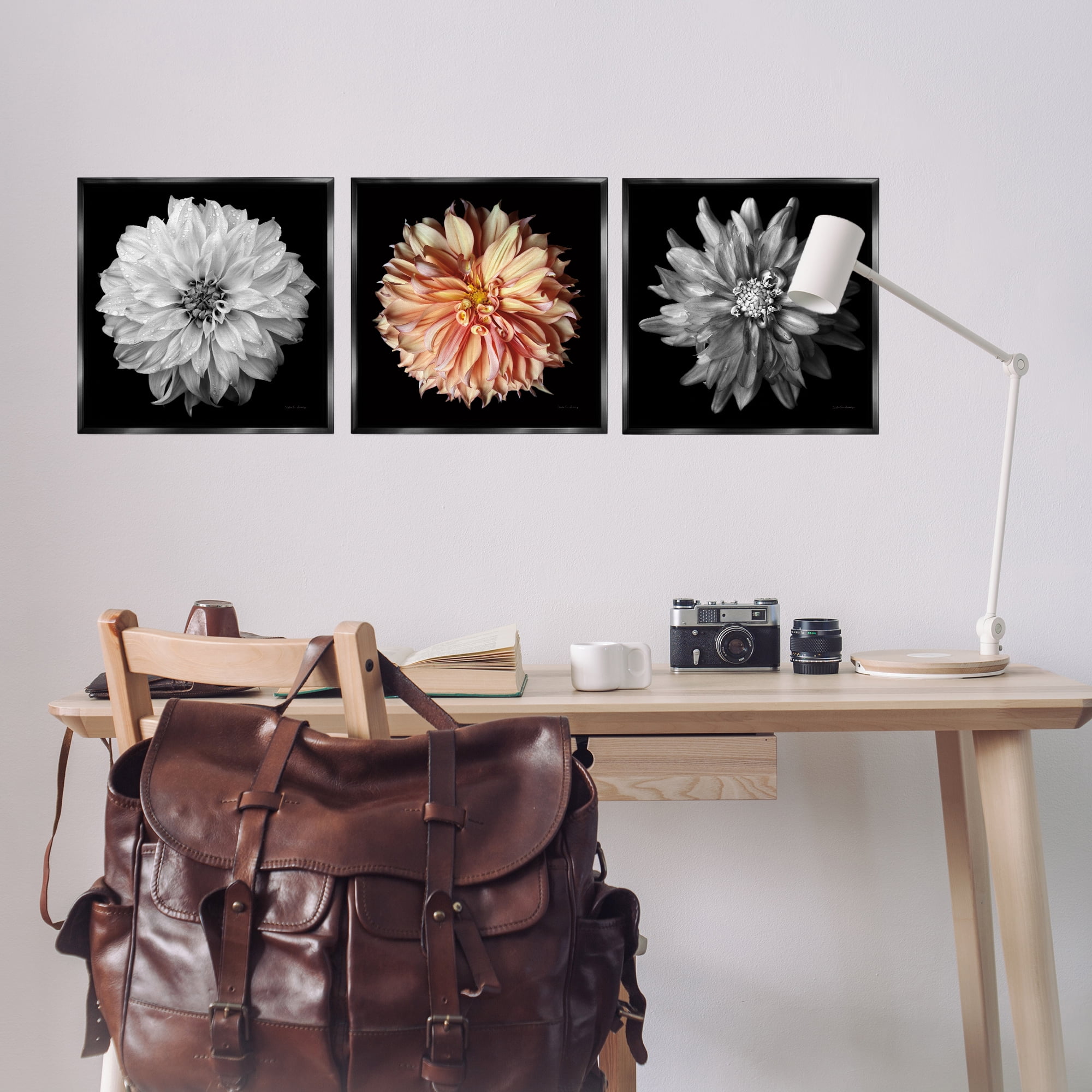 Stupell Industries Detailed Dahlia Photography Plants & Flowers Photography Black Floater Framed Canvas Art Print Wall Art, 18 x 18, Set of 3