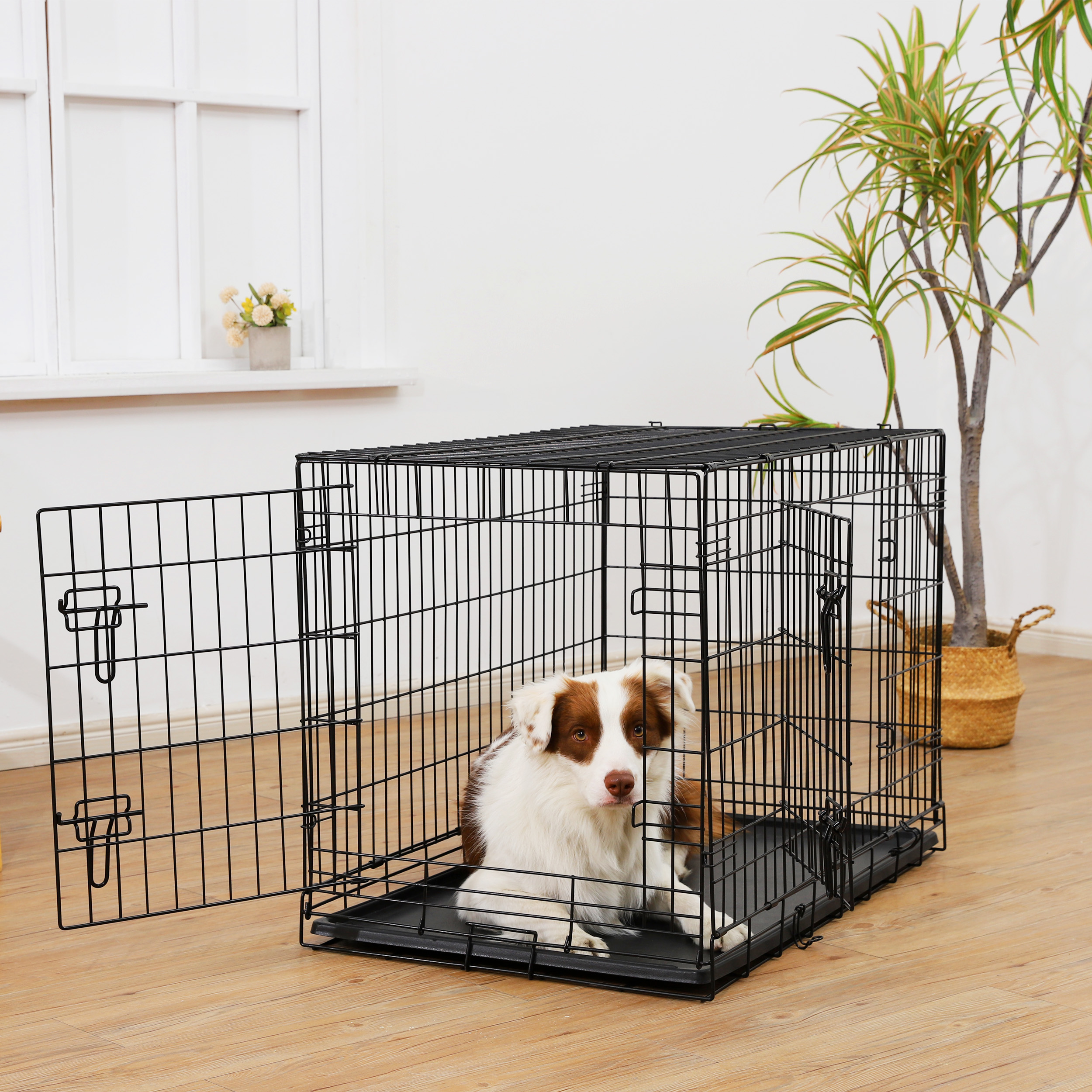 Vibrant Life Double-Door Wire Dog Crate, 36 Inch, Black photo 2