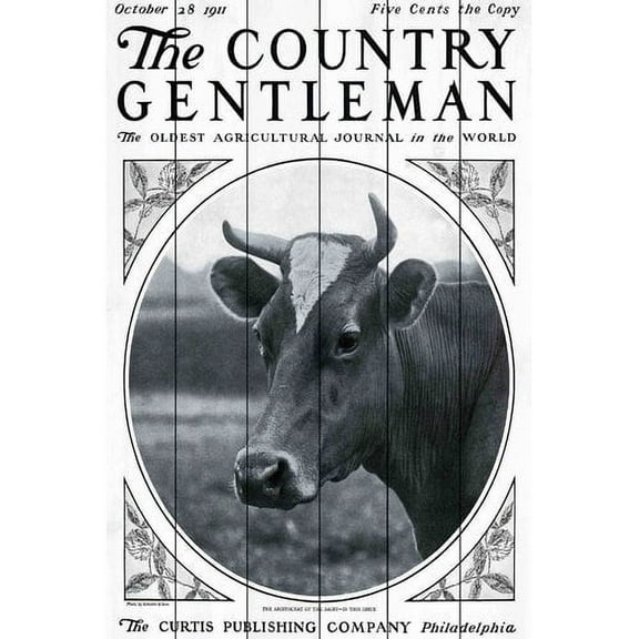 Marmont Hill "CG Cow" Painting Print on White Wood