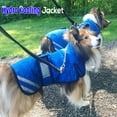 thumbnail image 2 of Derby Originals Swamp Cooling Dog Jacket with Harness Compatible Opening, Cools and Reflects Heat and UV, 2 of 5