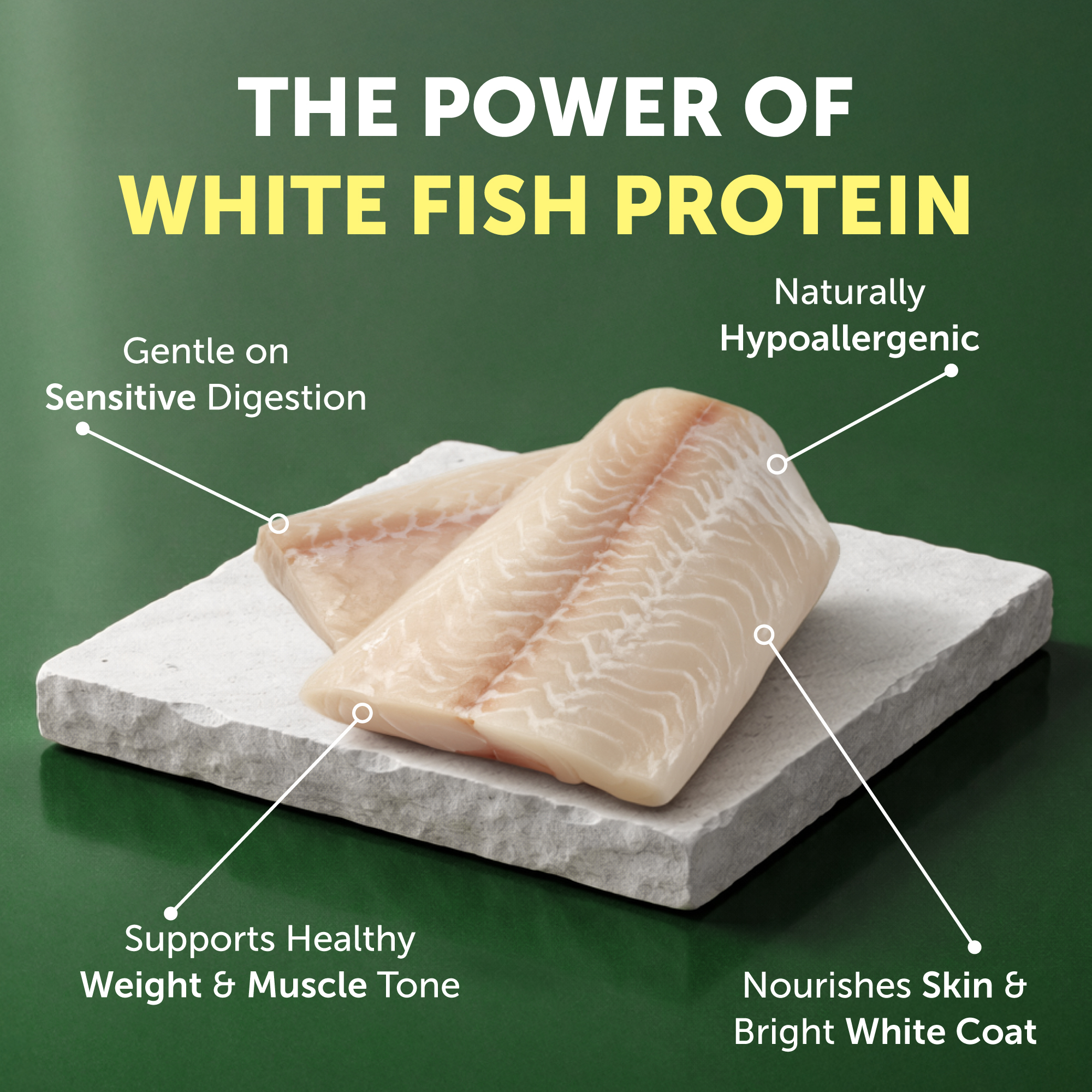Nature's Protection Superior Care White Fish Small Breed Dog Food photo 8
