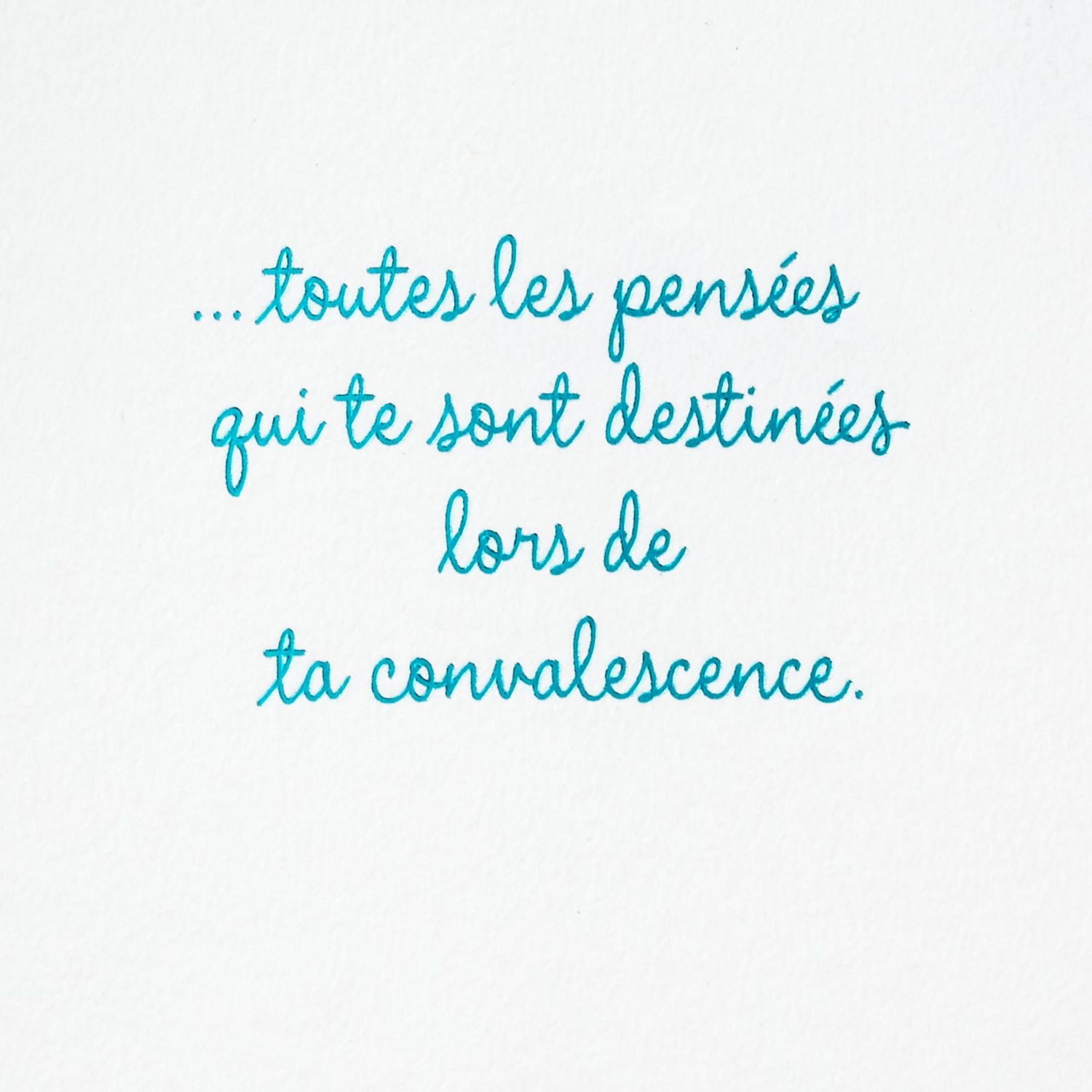 Carte de prompt rétablissement – Hallmark (Oiseau)