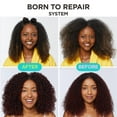 thumbnail image 6 of Carol's Daughter Born to Repair Sulfate- Free Nourishing Shampoo, for All Hair Types, 11 fl oz, 6 of 13