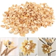 thumbnail image 3 of MesaSe Pistachio Shell Filler Shells for Crafts Crafting Seashells Child, 3 of 8