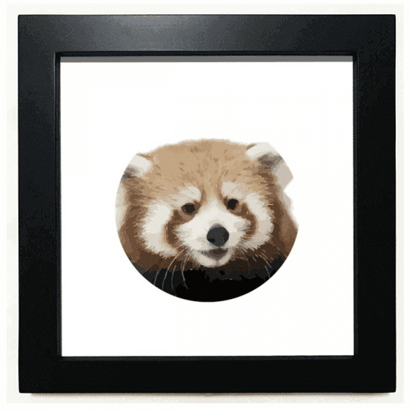 Brown Jungle Civet Cats Lovely Little Black Square Frame Picture Wall Tabletop