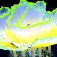 thumbnail image 7 of mdesiwst Aquarium Artificial Coral Silicone Coral Figurine Fish Tank Decor Glow-in-The-Dark Faux Coral with Suction Cup Underwater Landscape for Betta Fish Tank, 7 of 7