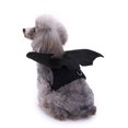 thumbnail image 4 of Small Dog Halloween Costumes, Halloween Dog, Pet Halloween Bat Wings, Small Breed Dog Halloween Outfit, Matte Solid Black Finish, Easy to Put on and Take Off for Daily Wear and, 4 of 7
