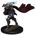 thumbnail image 2 of WizKids WZK77504 Pathfinder Battles Premium Human Cleric Male Miniature, 2 of 2