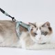 thumbnail image 4 of FELTECHELECTR Arnés ajustable para mascotas y gatos, con cuerda de tracción, cómodo y estampado de flores, correa de algodón, ideal para el hogar y actividades al aire libre (azul cielo, talla M), 4 of 7
