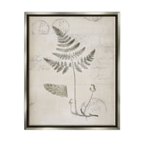 Stupell Industries Antique Fern Woodland Plant Study Botanical & Floral Drawing Gray Floater Framed Art Print Wall Art