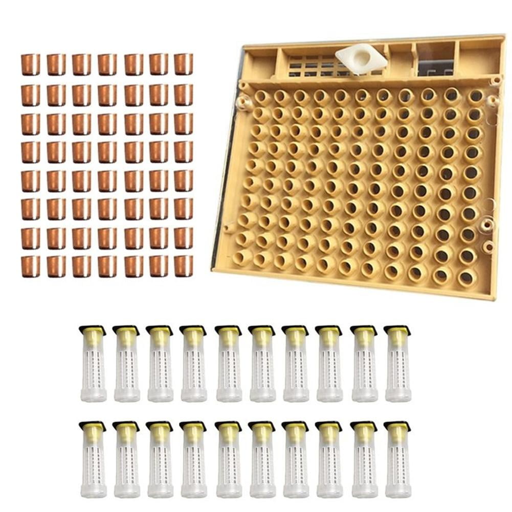 120pcs Bee Cell Cups Queen Rearing System Beekeeping Tool Cultivating Box 