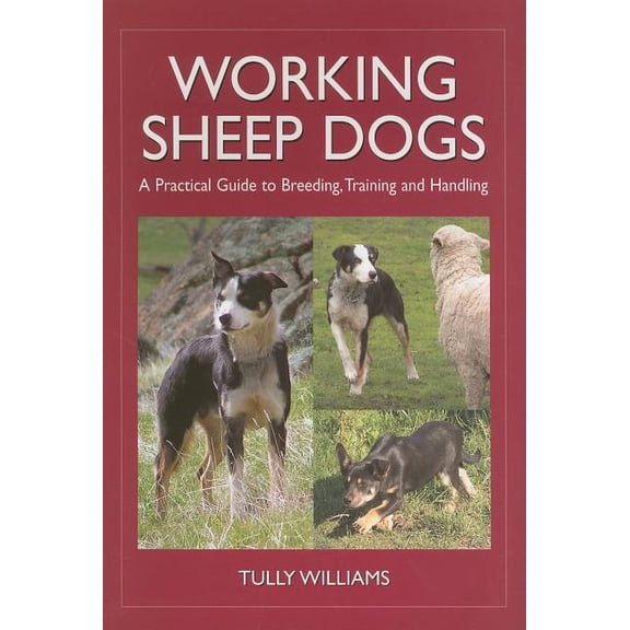 Landlinks Press Working Sheep Dogs: A Practical Guide to Breeding, Training and Handling, (Paperback)