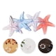 thumbnail image 4 of 40 adornos de resina en miniatura con forma de estrella de mar para decorar fundas de teléfono, accesorios para el cabello, proyectos creativos, pinzas para el cabello, 4 of 8