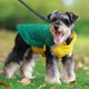 thumbnail image 1 of Ropa para perros Salvador Chaleco para perros A prueba de viento suave con hebilla ajustable Verde amarillo, 1 of 7