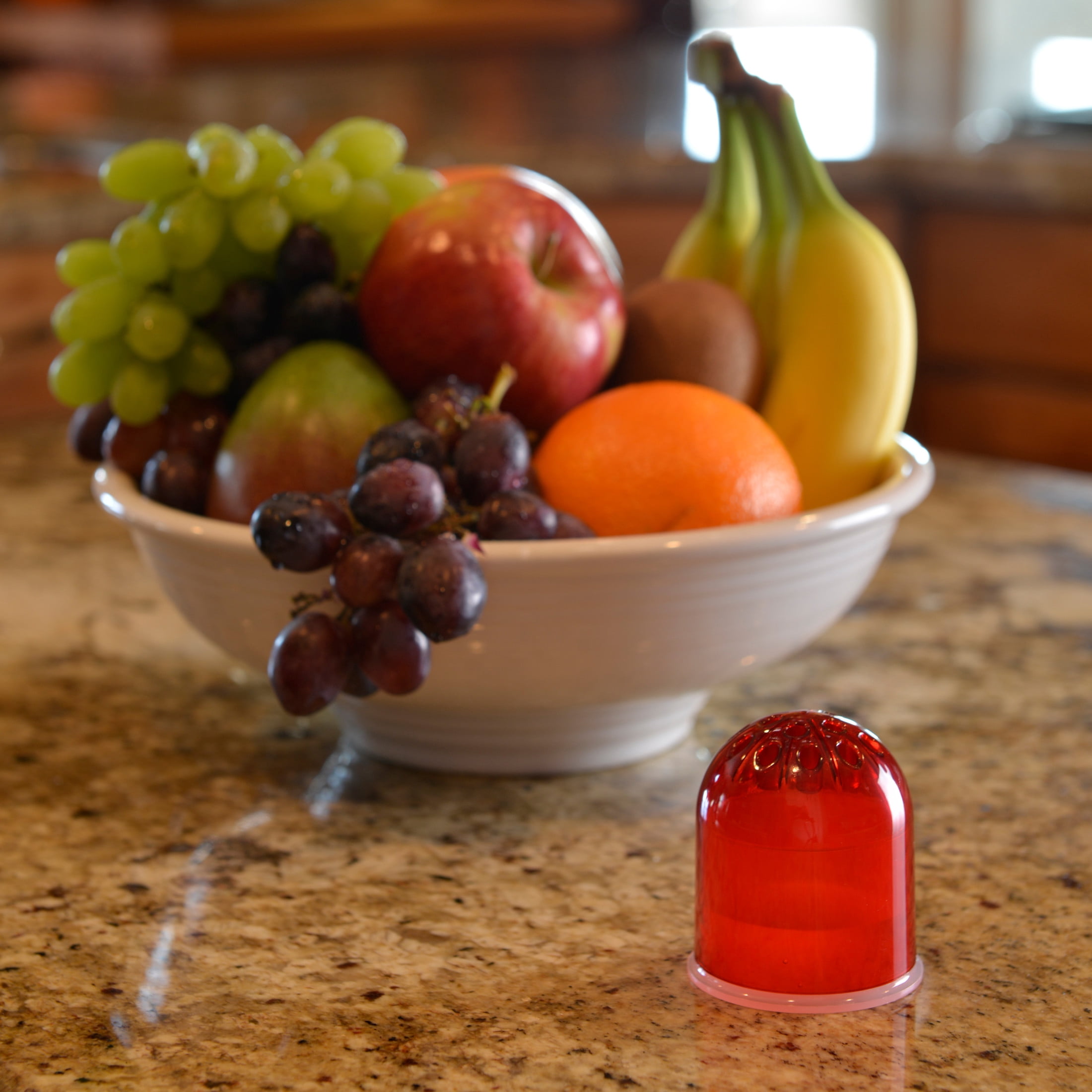 RESCUE! Reusable Indoor Fruit Fly Trap, 2 Pack Liquid
