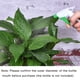 thumbnail image 5 of Rociador Botella Gatillo 6.69" Pl?stico Port?til Ca?o Boquillas Neblina Chorro Ajustables Cabezales Tapa Jard?n Riego para Planta Maceta Verde Paquete de 12 Unique Bargains pulverizadores de césped y jardín, 5 of 5