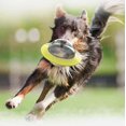 thumbnail image 3 of Generic Saturn Toy Dispensador de alimentos divertido e interactivo para perros y gatos, alimentación lenta para una mejor digestión (planeta amarillo), 3 of 5