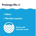 HTH Pool Filter Cleaner for Swimming Pools, 32 oz