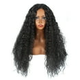 thumbnail image 2 of Fiudx Peluca Rizada, Lujosa Peluca Sintética de Cabello Largo, Diseño Versátil con Encaje Frontal, Aspecto Realista, Fibra Resistente Al Calor, Ideal para Uso Diario, Ocasiones Especiales y Amantes d, 2 of 6