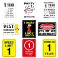 thumbnail image 1 of czcpp-1st Birthday Party Decorations - 9PCS Baby First Birthday Banner Centerpieces Signs Card for Newborn Boy Girl 1st Birthday Supplies Happy 1st Birthday Picture Props Wall Window Decor, 1 of 4