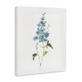 thumbnail image 2 of Stupell Industries Transitional Natural Spring Herbs Canvas Art, 16 x 20, by Sally Swatland, 2 of 8