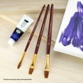 thumbnail image 5 of Royal & Langnickel 3pc Golden Taklon Flat Comb™ Brush Set, 5 of 8