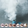 thumbnail image 2 of 4 Uds. Insecticidas de humo venenoso para matar cucarachas, insecticida para aromaterapia, humo, 2 of 8