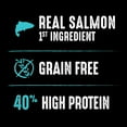 thumbnail image 4 of Crave Grain Free High Protein Natural Dry Cat Food With Protein From Salmon & Ocean Fish, 2 Lb. Bag, 4 of 10