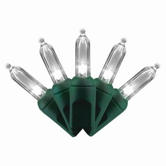 Celebrations 9086333 25 ft. Platinum LED T5 String Christmas Lights, Pure White - 50 Count