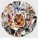 thumbnail image 2 of Pegatinas de vinilo Maine Coon con diseño de grafiti, resistentes al agua, 50 unidades, 2 of 5