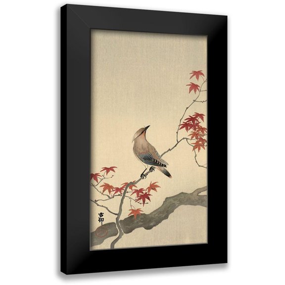 Koson, Ohara 10x14 Black Modern Framed Museum Art Print Titled - Japanese Waxwing on Maple, 1900-1936