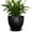 Black, variant on Wliror 6 Inch Mint Green Ceramic Plant Pot with Drainage – Cool Pastel Planter for Indoor Plants, Succulents, Herbs