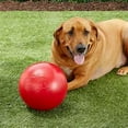 thumbnail image 6 of Jolly Pets Push-N-Play Ball Red 10 inch Hard Plastic Chew Toy for Dogs, 6 of 7