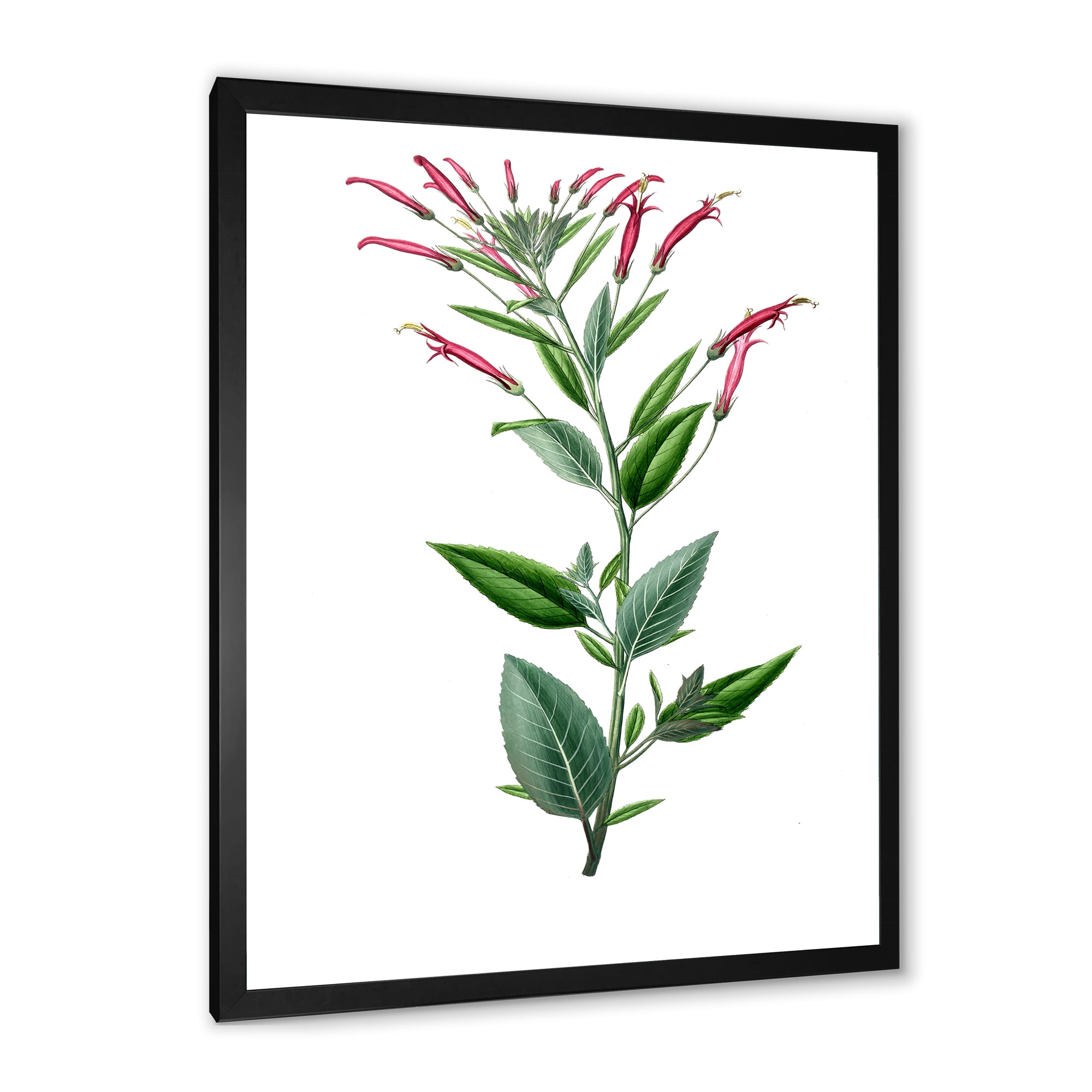 Designart 'Ancient American Flora III' Traditional Framed Art Print