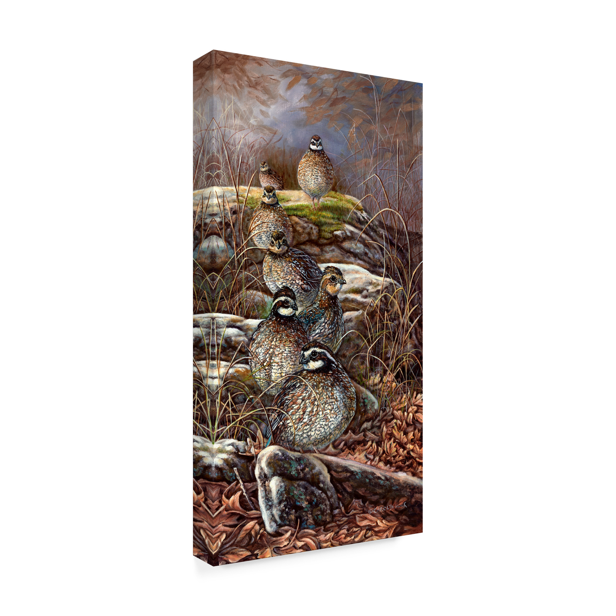 Trademark Fine Art Carolyn Mock Quail Trail Canvas Wall Art - 24x47