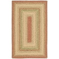 SAFAVIEH Braided Cirino Colorful Bordered Area Rug, Rust/Multi, 4' x 6 ...