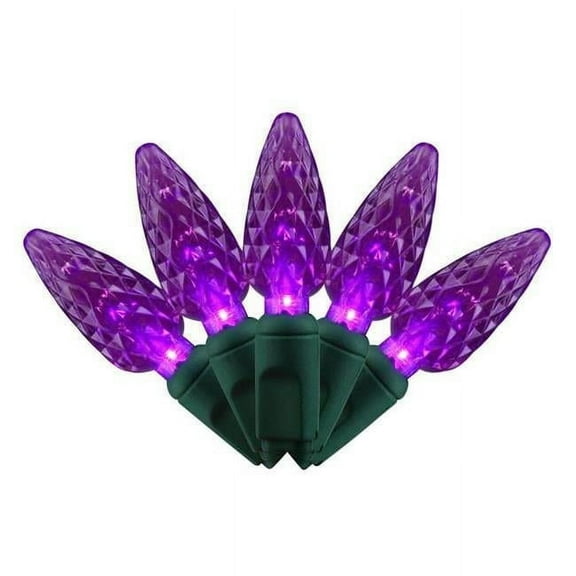 Celebrations 9086451 Platinum LED String Lights, Purple - 100 Count