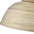 thumbnail image 4 of Millennium Lighting 48001-MB Jaycen 16" Wide Pendant - Black, 4 of 7