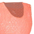 thumbnail image 3 of VESTIDO SALIDA DE PLAYA PARA DAMA, TALLAS EXTRA MAUI AND SONS 321061, 3 of 6