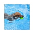 thumbnail image 1 of 1pc Tpr Rubber Super Durable Teeth Grinding & Cleaning, Sound Emitting Elastic Ball Toy Suitable For Dog Interactive Play, 1 of 5