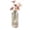 Clear, variant on Bxaolu Glass Bud Vases, Small Flower Vases, Mini Ribbed Vases for Centerpieces, Clear Vintage Vase for Table Decorations, Wedding, Party, Receptions, Home Decor (1Pack)