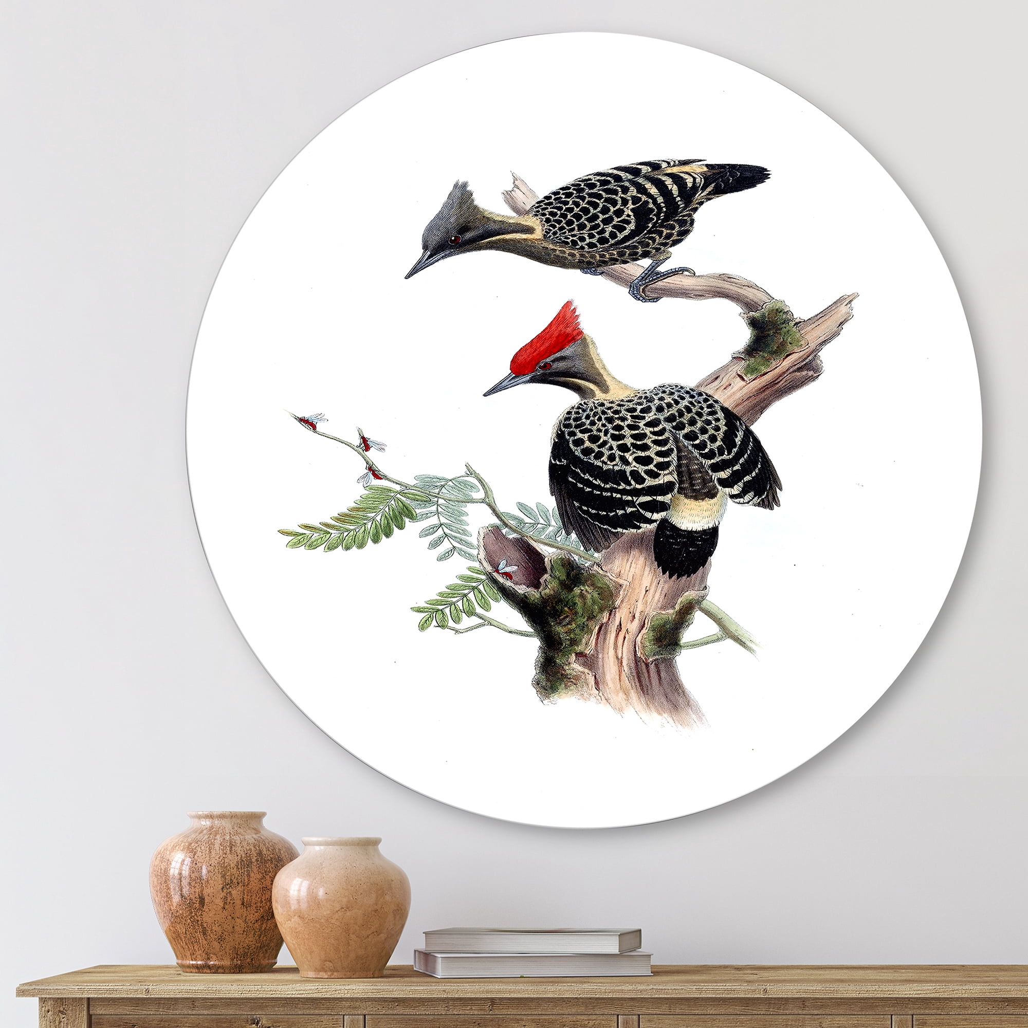 Designart 'Ancient Birds In The Wild VI' Traditional Circle Metal Wall Art 23x23 - Disc of 23