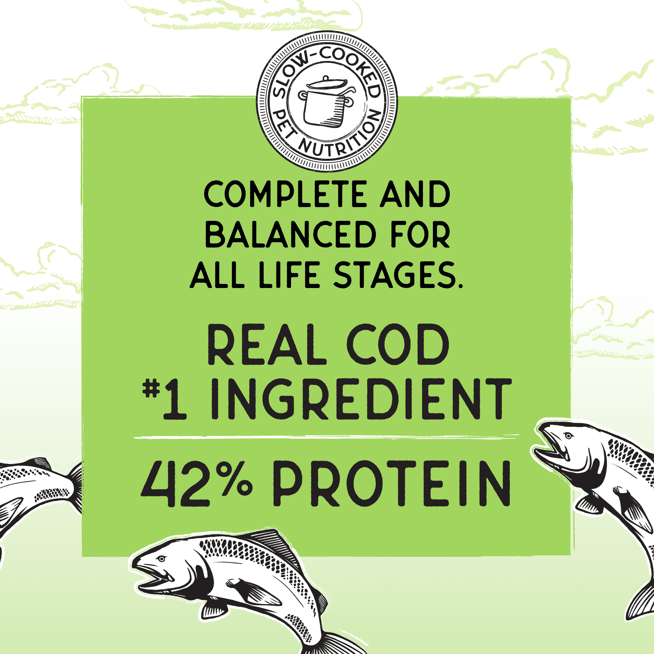 Blackwood Bounty Dry Cat Food Whitefish & Lentils 4.5 lb