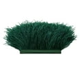 thumbnail image 4 of stanreset 1 Yard Dyed Ostrich Feather Fringe Trim Ribbon Embellishment Dark green, 4 of 8