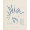 thumbnail image 3 of Vision Studio 12x14 Black Modern Framed Museum Art Print Titled - Blue Marine Algae II, 3 of 5
