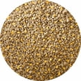 thumbnail image 2 of sWheat Scoop Wheat Corn Blend Cat Litter, 15lb, 2 of 6