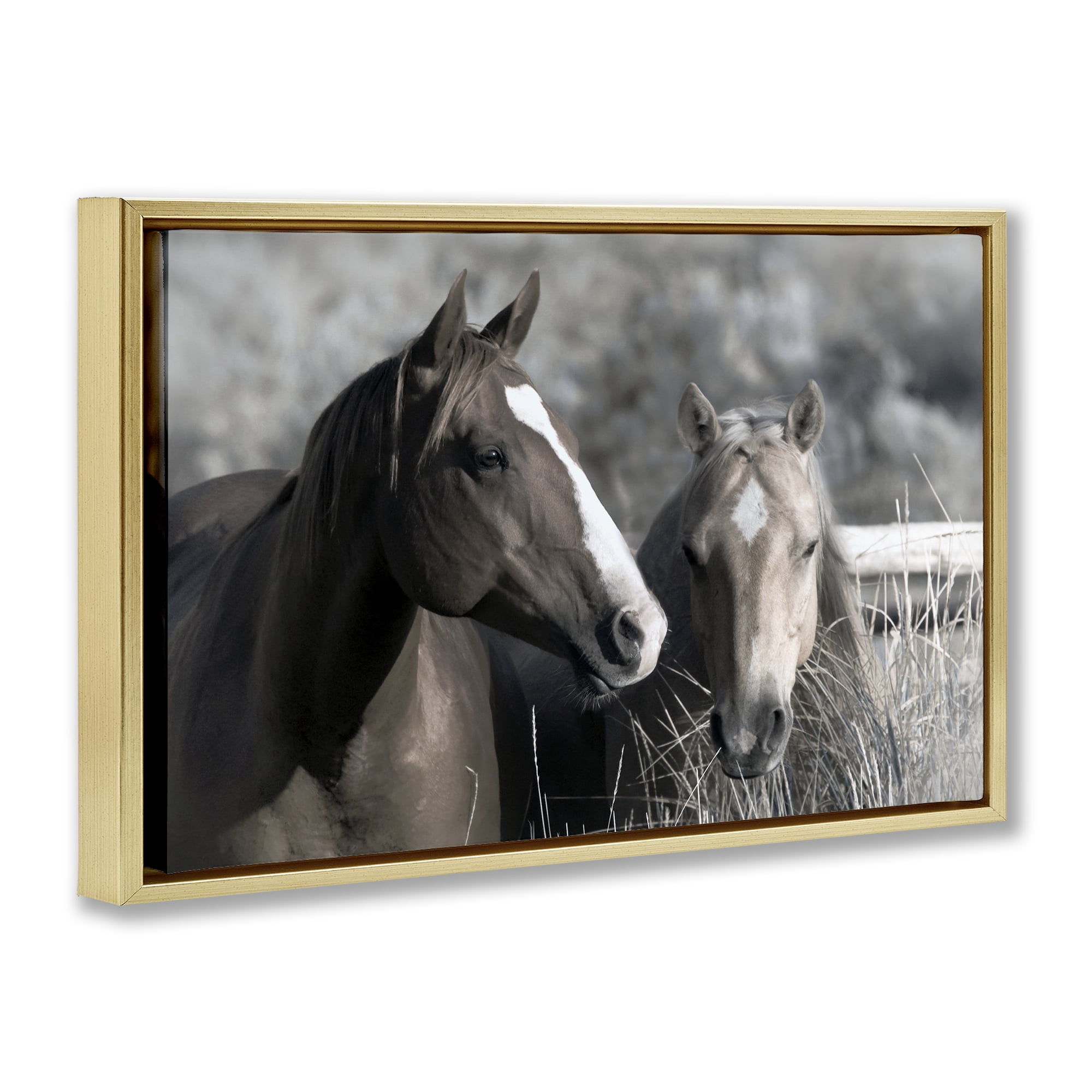 Stupell Industries Content Horses In Pasture Gold Framed Floater Canvas Wall Art, design by Danita Delimont