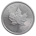 thumbnail image 2 of 2024 1 oz Canadian Silver Maple Leaf BU - Tube of 25 Coins, 2 of 3