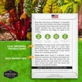 thumbnail image 5 of 2 Packs Ruby Red Rhubarb Swiss Chard Seeds - Non-GMO Heirloom Full Sun Annual Vegetable, 5 of 6