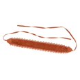 thumbnail image 3 of Cinturón de cintura Obi de cuero suave para mujer, talla única Beige Hugo Cinturón de cintura de encaje para mujer, 3 of 7